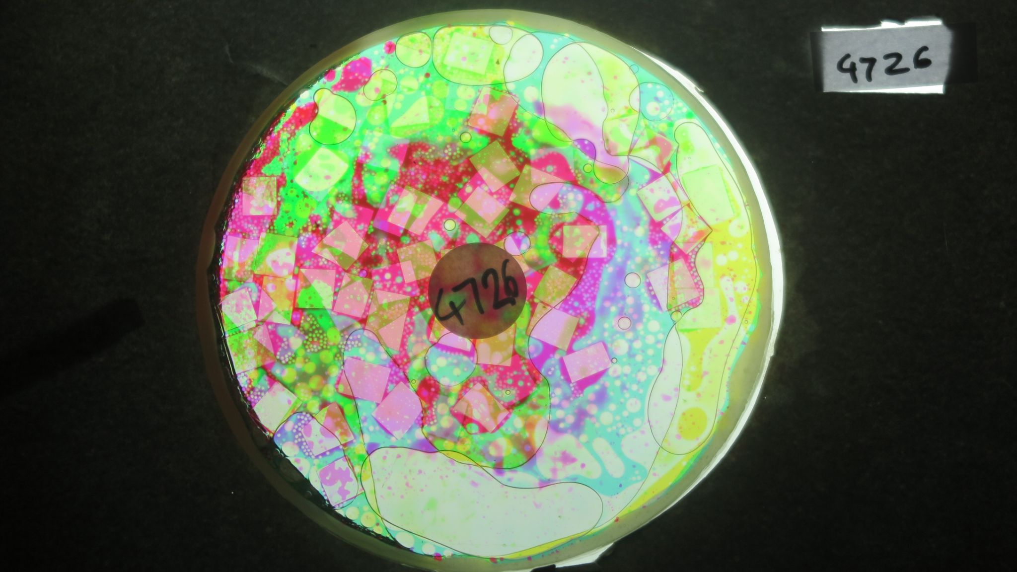 BV4726 bubble vision oil wheel